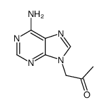 1-(6-aminopurin-9-yl)propan-2-one Structure