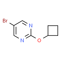 5-溴-2-环丁氧基嘧啶图片
