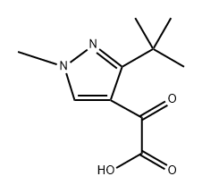 2-(3-(叔丁基)-1-甲基-1H-吡唑-4-基)-2-氧代乙酸结构式