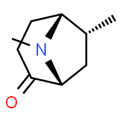 8-Azabicyclo[3.2.1]octan-2-one,6,8-dimethyl-,(1R,5R,6R)-rel-(9CI) Structure