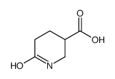 6-oxopiperidine-3-carboxylic acid structure