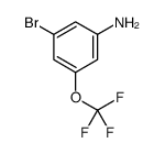 3-溴-5-(三氟甲氧基)苯胺结构式