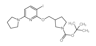 tert-butyl 3-[(3-iodo-6-pyrrolidin-1-ylpyridin-2-yl)oxymethyl]pyrrolidine-1-carboxylate结构式