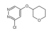 3-chloro-5-(oxan-3-yloxy)pyridazine Structure