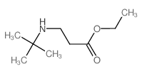 Ethyl 3-(tert-butylamino)propanoate结构式