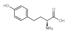 (S)-2-AMINO-4-(4-HYDROXY-PHENYL)-BUTYRIC ACID picture