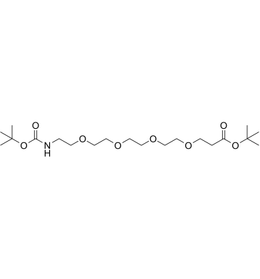 Boc-NH-PEG4-C2-Boc Structure