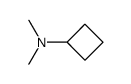 dimethylaminocyclobutane Structure