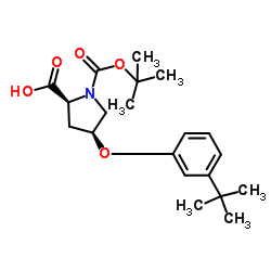 1217838-70-4 structure