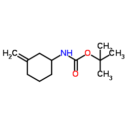 tert-butyl N-(3-methylidenecyclohexyl)carbamate Structure