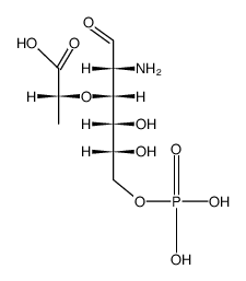 muramic acid-6-phosphate structure