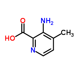 3-Amino-4-methyl-2-pyridinecarboxylic acid structure