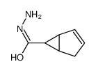 Bicyclo[3.1.0]hex-2-ene-6-carboxylic acid, hydrazide (7CI) Structure