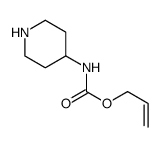 哌啶-4-基-氨基甲酸烯丙基酯结构式