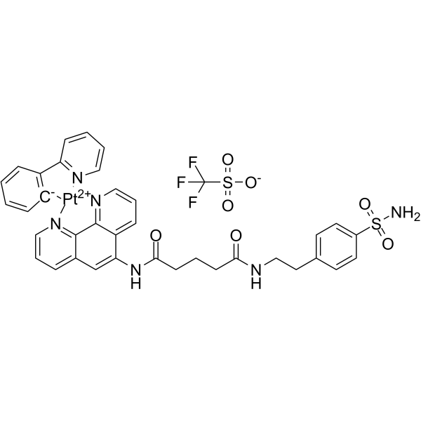 hCAIX-IN-13 Structure