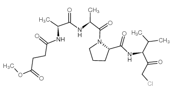 SPCK Structure