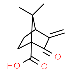 Bicyclo[2.2.1]heptane-1-carboxylic acid, 7,7-dimethyl-3-methylene-2-oxo- (9CI) picture