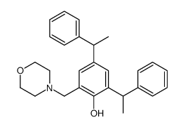 919361-80-1结构式