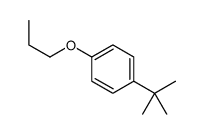 1-tert-butyl-4-propoxybenzene图片