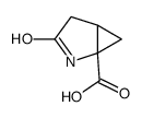 2,3-methanopyroglutamic acid结构式