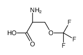 (2S)-2-Amino-3-(trifluoromethoxy)propanoic acid picture