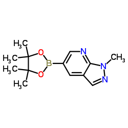 1-甲基-5-(4,4,5,5-四甲基-1,3,2-二氧硼杂环戊烷-2-基)-1H-吡唑并[3,4-b]吡啶结构式