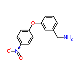 1-[3-(4-Nitrophenoxy)phenyl]methanamine结构式