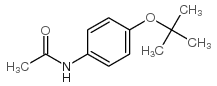 Acetamide, N-(4-(1,1-dimethylethoxy)phenyl)- Structure