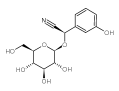 holocalin Structure