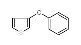 3-phenoxythiophene picture