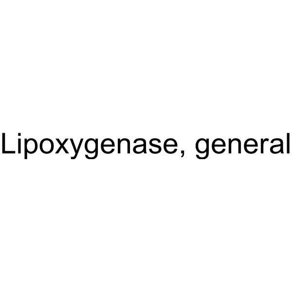 Lipoxygenase, general structure