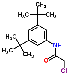 2-CHLORO-N-(3,5-DI-TERT-BUTYLPHENYL)ACETAMIDE结构式