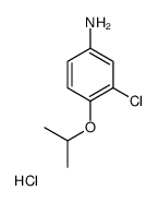 Benzenamine, 3-chloro-4-(1-Methylethoxy)-, hydrochloride picture