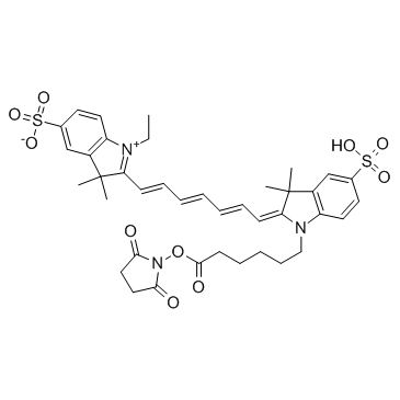 CY7-SE Structure