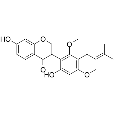 Licoricone picture