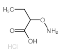 Butanoic acid,2-(aminooxy)-, hydrochloride (1:1) Structure