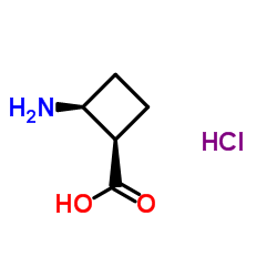 顺式-2-氨基环丁烷-1-羧酸盐酸盐图片