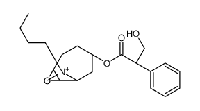 (S)-α-(Hydroxymethyl)benzeneacetic acid (1β,2α,4α,5β,7α)-9-butyl-9-methyl-3-oxa-9-azoniatricyclo[3.3.1.02,4]nonane-7-yl ester结构式