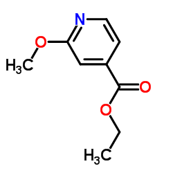 105596-61-0 structure