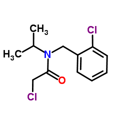 2-Chloro-N-(2-chlorobenzyl)-N-isopropylacetamide Structure