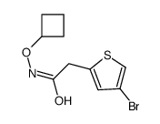 2-(4-bromothiophen-2-yl)-N-cyclobutyloxyacetamide结构式