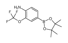 4-(4,4,5,5-tetramethyl-1,3,2-dioxaborolan-2-yl)-2-(trifluoromethoxy)aniline structure