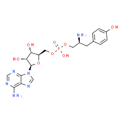 tyrosinyl-5'-AMP picture