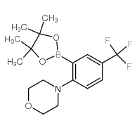 2-Morpholino-5-trifluoromethylphenylboronic acid pinacol ester structure