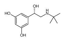 d-Terbutaline structure