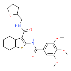 N-(tetrahydro-2-furanylmethyl)-2-[(3,4,5-trimethoxybenzoyl)amino]-4,5,6,7-tetrahydro-1-benzothiophene-3-carboxamide picture