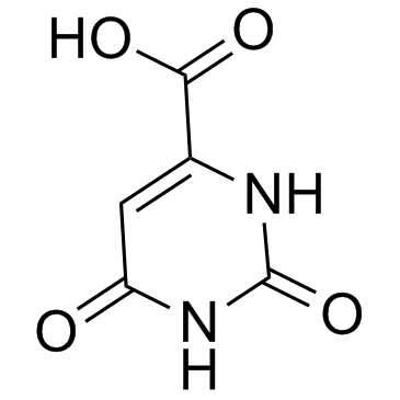 Orotic acid picture