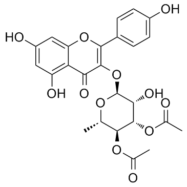 SL 0101-1 Structure