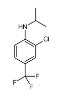 823189-79-3 structure