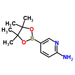 2-Amino-5-(4,4,5,5-Tetramethyl-1,3,2-Dioxaborolan-2-Yl)Pyridine picture